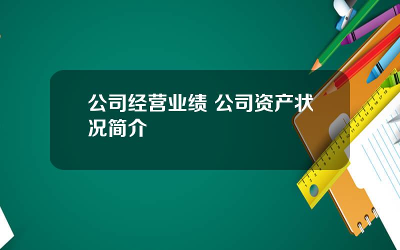 公司经营业绩 公司资产状况简介